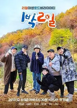 乐队重启计划 封面